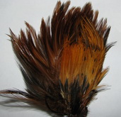 ����� ������� ������  �� ���� ( Rooster Str�amer ) ���� ���������� � ������ ����������